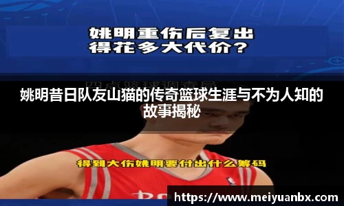 姚明昔日队友山猫的传奇篮球生涯与不为人知的故事揭秘